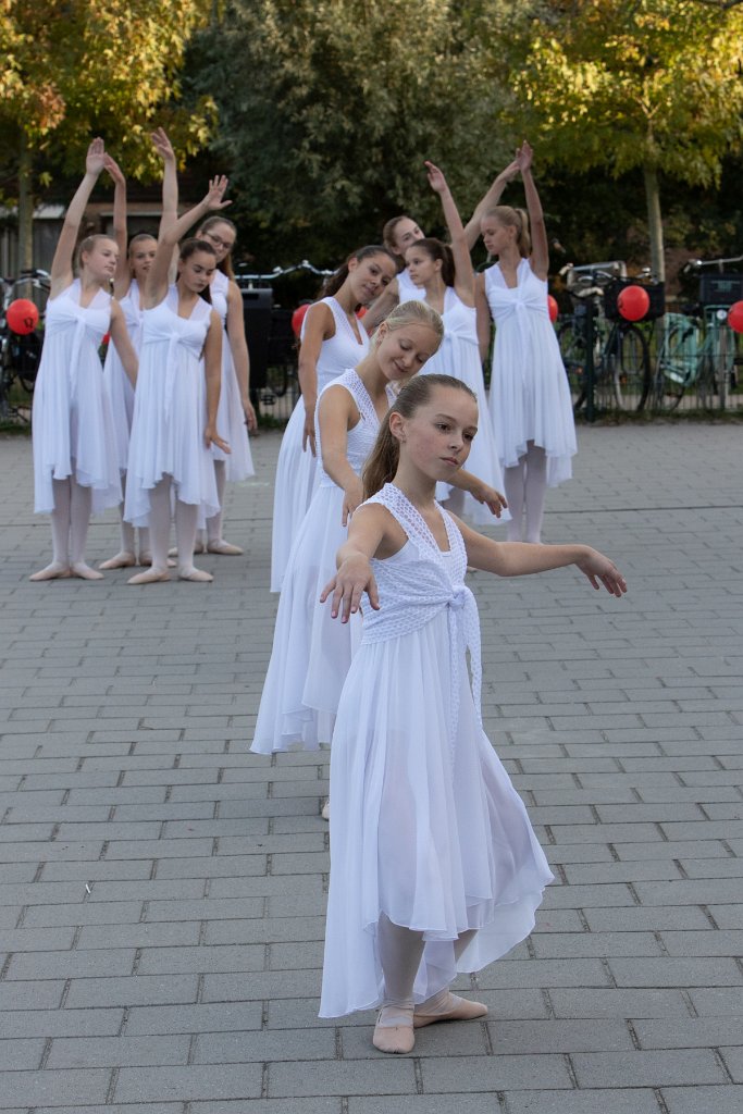 Schoolplein Festival A448.jpg